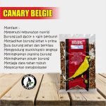 Makanan Burung Pipit: Panduan Lengkap untuk Burung Sehat dan Aktif