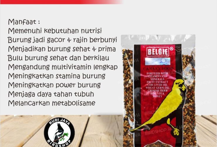 Makanan Burung Pipit: Panduan Lengkap untuk Burung Sehat dan Aktif