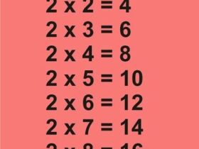 Perkalian Matriks 2x2: Penjelasan Lengkap, Rumus, dan Contoh Soal Praktis