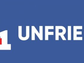 Unfriend Artinya Apa? Makna, Dampak, dan Etika Menghapus Pertemanan di Media Sosial